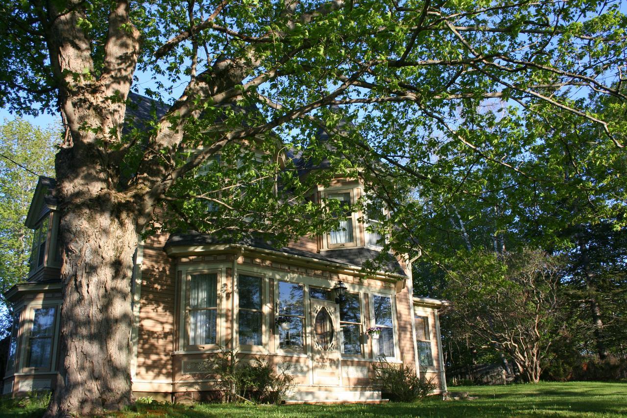 Sackville Bed And Breakfast Esterno foto